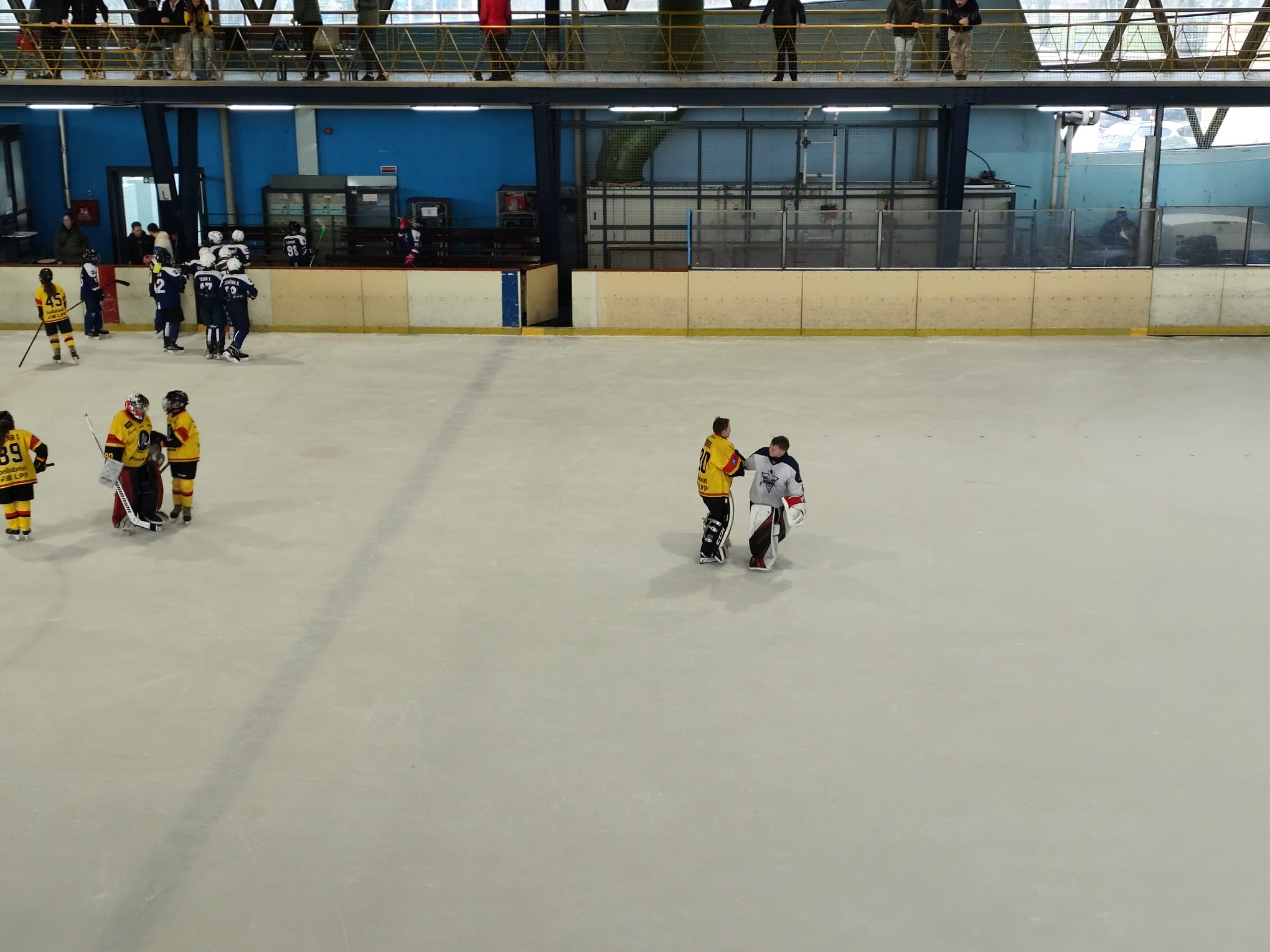 WhatsApp Image 2026-02-16 at 19.50.44