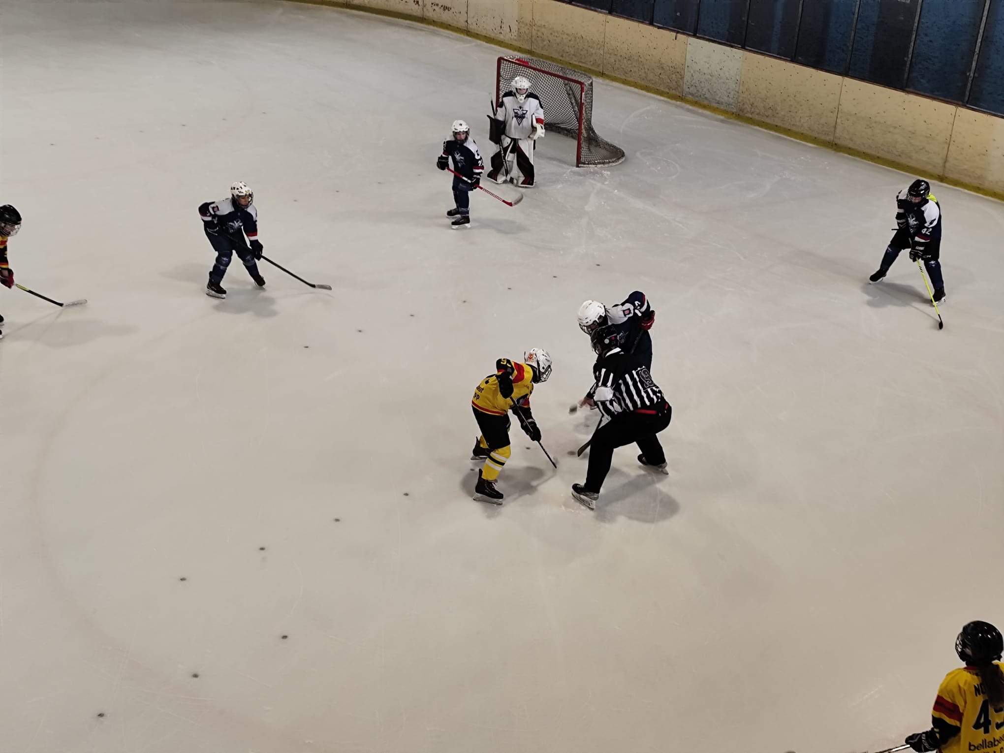 WhatsApp Image 2026-02-16 at 19.50.45 (3)