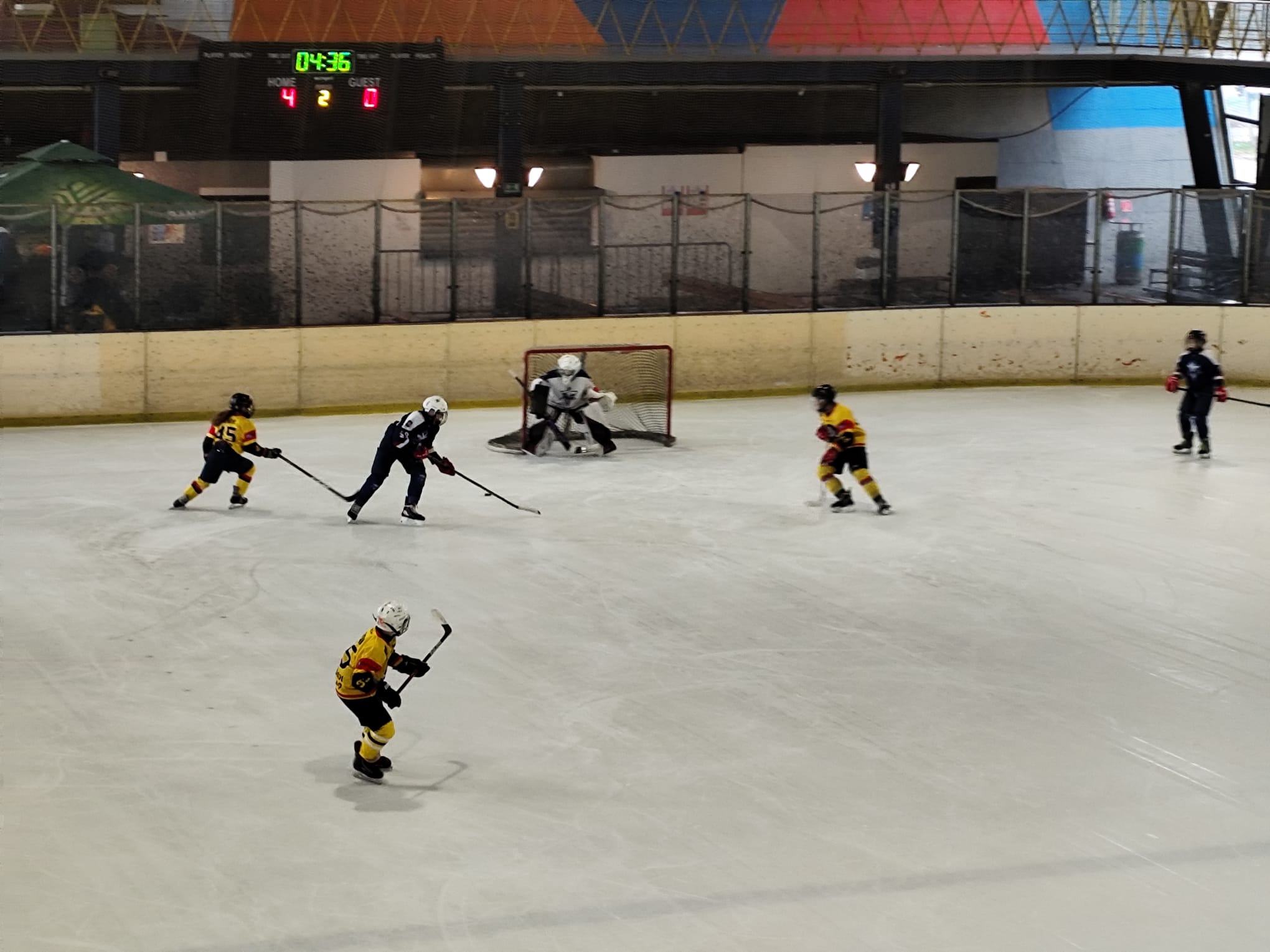 WhatsApp Image 2026-02-16 at 19.50.46 (1)