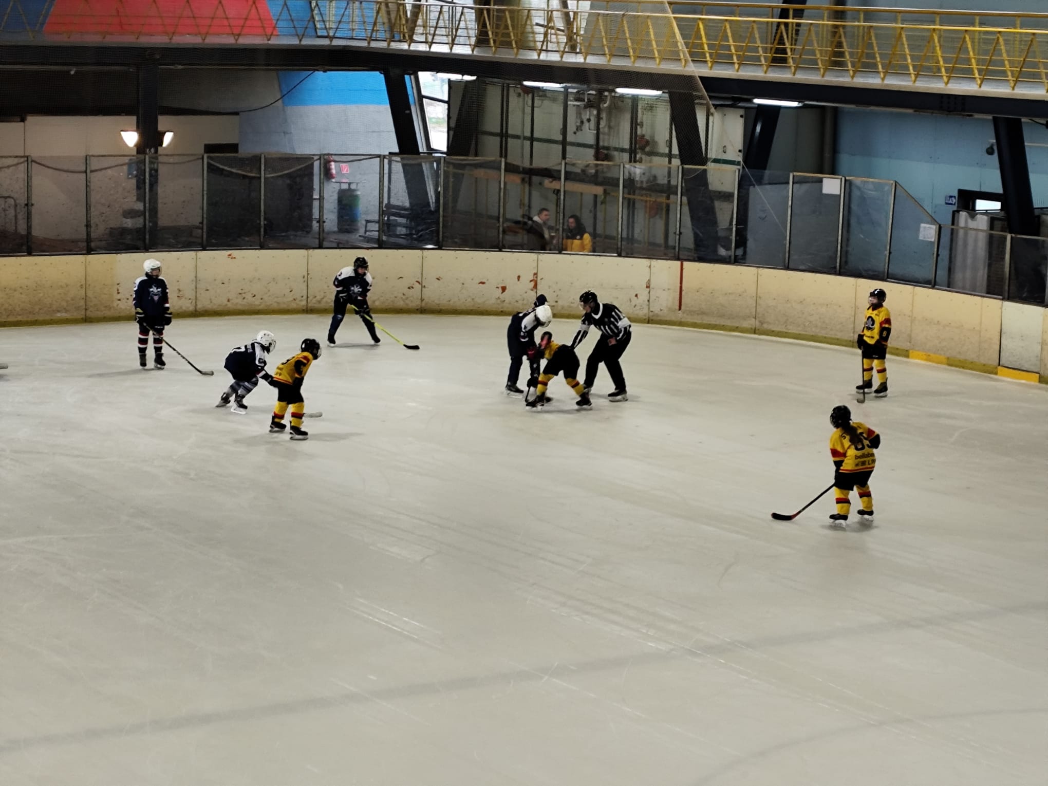 WhatsApp Image 2026-02-16 at 19.50.46 (2)