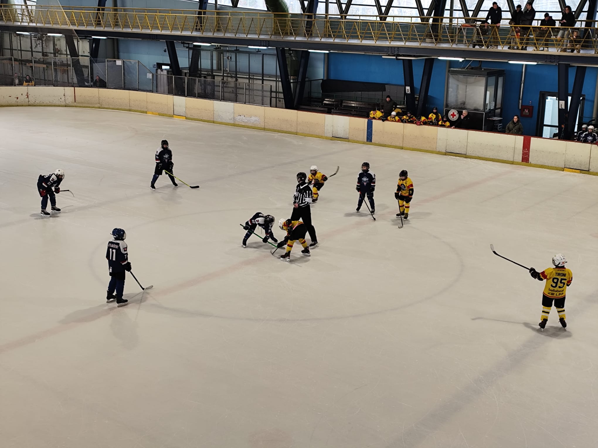 WhatsApp Image 2026-02-16 at 19.50.46